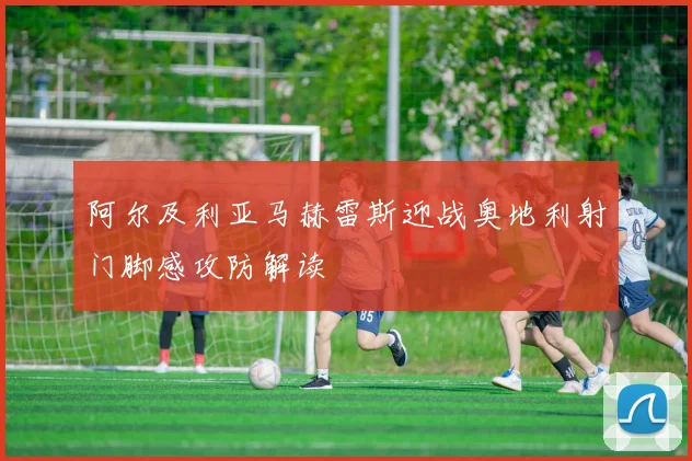 阿尔及利亚马赫雷斯迎战奥地利射门脚感攻防解读