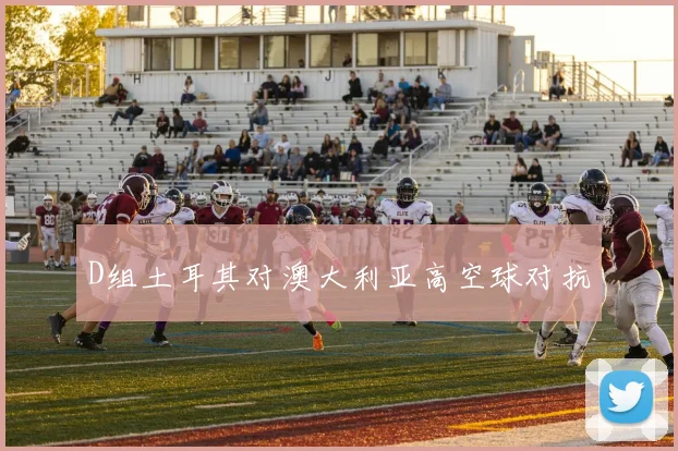 D组土耳其对澳大利亚高空球对抗